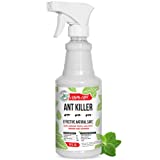 Mighty Mint - 16oz Ant Killer and Repellent Spray - Natural Peppermint Oil Control - Indoor/Outdoor Safe