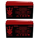 6V 12AH Battery Replaces 10ah Enduring 3FM10 T2, 3-FM-10 T2 by Neptune - 2 Pack