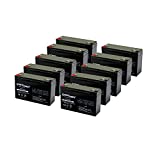 10 -Pack ExpertPower 6V 10AH Sealed Lead Acid (SLA) Battery with F1 Terminal