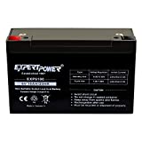 ExpertPower 6V 10AH Sealed Lead Acid (SLA) Battery with F1 Terminal