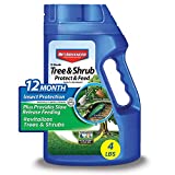 BioAdvanced 701900B 12-Month Tree and Shrub Protect and Feed Insect Killer and Fertilizer, 4-Pound, Granules