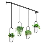 Dicasser Plant Hanger, Wall and Ceiling Hanging Planters for Indoor Outdoor Plants Home Decor, Hanging Plant Holder for Plants or Herbs, 4 Pack
