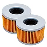 2 Pack Yerbay Compatible Motorcycle Oil Filter for Honda TRX500FA TRX500 FA TRX500FGA TRX500FPE TRX 500 FPE Foreman Rubicon Gpscape 4X4 ES