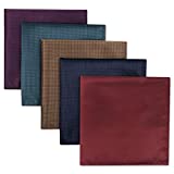 SHLAX&WING 5 Pieces Assorted Mens Silk Pocket Square Handkerchiefs Set 38