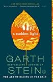 A Sudden Light: A Novel