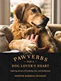 Pawverbs for a Dog Lovers Heart: Inspiring Stories of Friendship, Fun, and Faithfulness