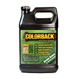 COLORBACK Mulch Liquid Color Concentrate, 4,800 Square Feet Coverage, 1-Gallon, Green Grass