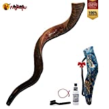 ProShofar Israel Shofar Set, Natural Kudu Horn Shofar, Kosher Shofar Yemenite Traditional Musical Instrument for Jewish Spiritual Ceremonies and Religious Sermons, Made in Israel