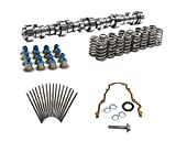 Brian Tooley BTR Stage 4 Truck Camshaft includes Beehive Springs, Vortec Truck Cam 3 Bolt Cam 4.8 5.3 6.0 (Cam, Springs & Seals, Gaskets, Pushrods)