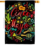 Ornament Collection El Fiesta Cinco de Mayo House Flag - Summer Mexican Party Cactus PinataOutdoor Summertime Sunny - Decoration Banner Small Garden Yard Gift Double-Sided Made in USA 28 X 40