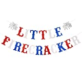 Little Firecracker Banner Red & White & Blue Glitter- 4th of July Baby Shower Decor, Little Firecracker Party Decor,1st Birthday Patriotic Theme Banner