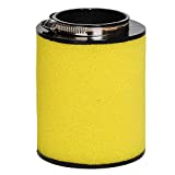 HIFROM Air Filter Element Cleaner Replacement for Honda 2007-2014 Rancher TRX420 420 TRX420FE TRX420FM TRX420TE TRX420TM