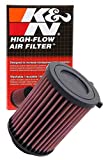 K&N Engine Air Filter: High Performance, Premium, Powersport Air Filter: Fits 2007-2013 HONDA (TRX420FA, TRX420FE, TRX420FM, TRX420FPA, TRX420FPE, TRX420FPM, TRX420TE, TRX420TM) HA-4207