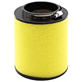 Air Filter TRX420 TRX 420 Cleaner 17254-HP5-600 Replacement for Honda Rancher 420 TRX420FA TRX420FE TRX420FM TRX420FPA TRX420FPE TRX420FPM TRX420TE TRX420TM