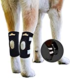 NeoAlly Cat and Dog Braces Canine Rear Leg Hock Support with Safety Reflective Straps for Hind Leg Wounds Heal and Injuries and Sprains from Arthritis (L Pair)