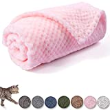 Dog Blanket or Cat Blanket or Pet Blanket, Warm Soft Fuzzy Blankets for Puppy, Small, Medium, Large Dogs or Kitten, Cats, Plush Fleece Throws for Bed, Couch, Sofa, Travel (M/32" x 40", Bright Pink)