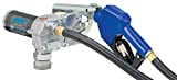 GPI M-1115 Fuel Transfer Pump, 12 GPM, 115V-AC, Automatic Shut-Off Nozzle, 12' Hose, Spin Collar Mount, Adjustable Suction Pipe (110000-82)