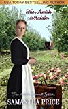 The Amish Meddler: Amish Romance (The Amish Bonnet Sisters Book 16)