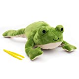 KiwiCo - Froggie Lab Dissection, Frog Science Plush Toy for Kids, Ages 3+