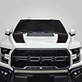 Factory Crafts Hood Racing Stripe Graphics kit 3M Vinyl Decal Wrap Compatible with Ford F-150 Raptor 2017-2021 - Matte Black