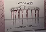 Wet n Wild 10 Piece Brush Collection Professional Ergonomic Handles