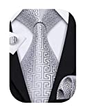 Barry.Wang Mens Ties Silk Tie Pocket Square Cufflinks Set Woven Designer Bright Silver