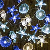 Impress Life Nautical Theme Decorative String Lights, Under The Sea Sand Dollars Seahorse Beach Lights Battery&USB Plug in with Remote 10 ft 30 LEDs for Covered Outdoor Camping Wedding Birthday Party