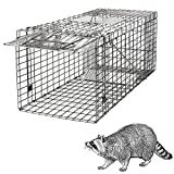 HomGarden Live Animal Cage Trap 32'' Steel Humane Release Rodent Cage for Rabbits, Stray Cat, Squirrel, Raccoon, Mole, Gopher, Chicken, Opossum, Skunk, Chipmunks, Groundhog Squire