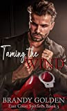 Taming the Wind: East Coast Spitfires Book 3