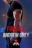 Fire and Ice (Carlisle Cops Book 2)