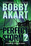 Perfect Storm 2: Post Apocalyptic Survival Thriller (Perfect Storm Series)