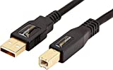 Amazon Basics USB 2.0 Printer Cable - A-Male to B-Male Cord - 10 Feet (3 Meters), Black