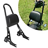 ECOTRIC Detachable Rear Passenger Sissy Bar Compatible with 1996-2022 Harley Sportster XL XLH 883 XL1200C XL1200S Upright Backrest W/Cushion Pad