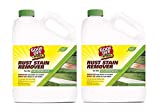 RustAid GSX00101 Goof, 1 Gallon GAL Rust Stain Remover (Tw Pck)