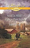 Hide in Plain Sight and Buried Sins: An Anthology (The Three Sisters Inn)