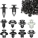 Plastic Pins 100 pcs, Car Push Pin Body Clip with 10 Assortment for Most Car and Truck, Car Clip Screw Rivet for Bumper, Fender