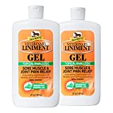 Absorbine Veterinary Liniment Gel (Two 12-oz Squeeze Bottle)