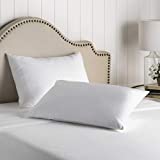 Premium BED Bugs Pillow Protector a Set of 2 Pillow Protectors (Queen (21"x"28))