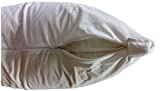 Premium Bed Bug Pillow Protector, Waterproof / Zippered / Encasement Cover, 10 Year Warranty, Set of 2 King Size (20 x 36)