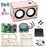 CYOEST DIY Bluetooth Speaker Box Kit Electronic Sound Amplifier - Build Your Own Portable Wood Case Bluetooth Speaker Sound - Science Experiment and STEM Learning for Kids, Teens and Adults