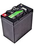 Interstate Batteries 12V 55Ah Deep Cycle Battery (DCM0055) Sealed Lead Acid Rechargeable SLA AGM (Insert Terminals) Wheelchairs, Scooters, ATVs, Solar Power