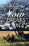 When the Vow Breaks: A Novel