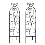 Hosley Set of 2 Iron Wave Pot Trellis 28 Inch High. Ideal Gift for Wedding or Party and Use Next to Structures Home or Office or in Planters for Growing Floral Plants Vines and Vegetables O4