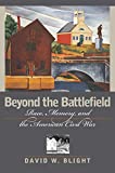 Beyond the Battlefield: Race, Memory, and the American Civil War