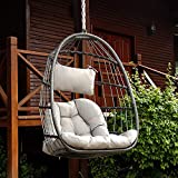 Brafab Wicker Rattan Hammock Egg Swing Chair with Hanging Chain, Aluminum Frame and UV Resistant Cushion, Indoor Outdoor Bedroom Patio Porch Foldable Camping Hammock Chair Swing Chair 350LBS Capacity