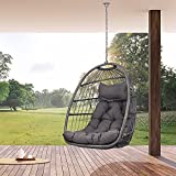 NICESOUL Hanging Chair Without Stand Swing Hammock Egg Basket Chairs UV Resistant 265lbs Capaticy for Patio Backyard Balcony Bedroom Living Room with Hanging Steel Chain & Cushions