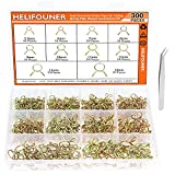 HELIFOUNER 300 Pieces 10 Sizes Fuel Line Hose Water Pipe Air Tubing Spring Clips Clamps Assortment Kit for Motorcycle Scooter, 5.5-14mm
