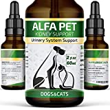 Natural Kidney Support for Dog UTI & Cat UTI - Canine Urinary Tract Care w/ Cranberry - Made in USA Dog Kidney Support - Cat Bladder Essentials (2 Oz)