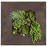 Modern Home Living Wall Galvanized Steel/Zinc Succulent Planter (Rust Zinc, 4 Pocket)