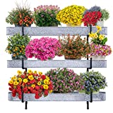 Benarr Metallic Vertical Wall Planter | an Ideal Wall Mounted Planter for Outdoor & Indoor Plants | 3 Tier Garden Planter for Flowers, Vegetables, Herbs, Strawberries, Succulents, Aquaponics etc